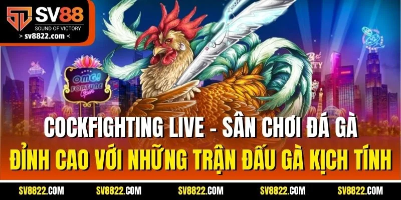 Cockfighting Live - Đối Tác Đá Gà Uy Tín Hàng Đầu Tại SV88 2 Cockfighting Live - Sân chơi đá gà đỉnh cao với những trận đấu gà kịch tính