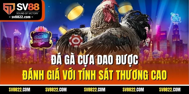 SV388 – Đối Tác Đá Gà Uy Tín Hàng Đầu Tại Nền Tảng SV88 3 Đá gà cựa dao được đánh giá với tính sát thương cao