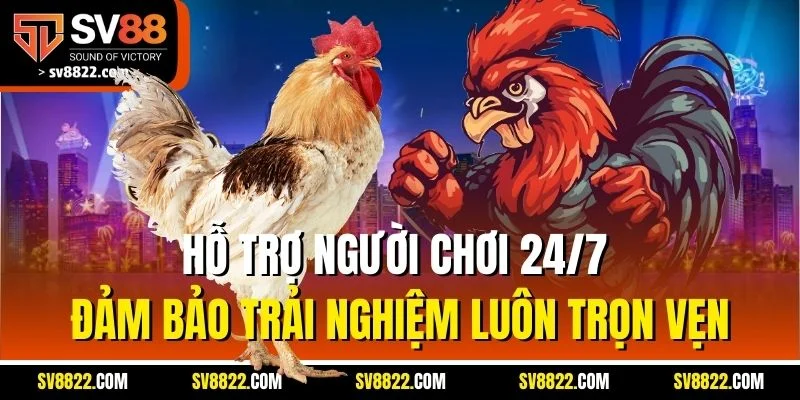 Cockfighting Live - Đối Tác Đá Gà Uy Tín Hàng Đầu Tại SV88 3 Hỗ trợ người chơi 24/7 đảm bảo trải nghiệm luôn trọn vẹn