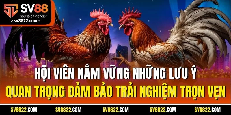 Cockfighting Live - Đối Tác Đá Gà Uy Tín Hàng Đầu Tại SV88 5 Hội viên nắm vững những lưu ý quan trọng đảm bảo trải nghiệm trọn vẹn