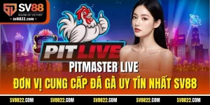 Pitmaster Live | Đơn Vị Cung Cấp Đá Gà Uy Tín Nhất SV88